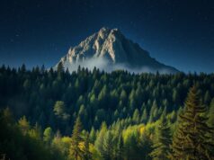 Hluboké lesy v Evropě neexistovaly: Jak se lesy změnily v posledních 20 milionech let